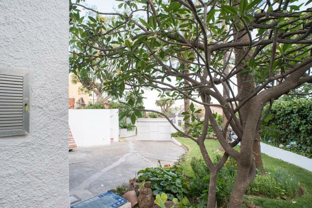 Habitacion Doble En Villa マラガ エクステリア 写真